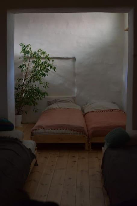 Apartment Ogrodek *