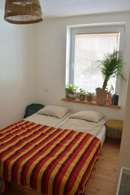Appartamento Ogrodek Sopot